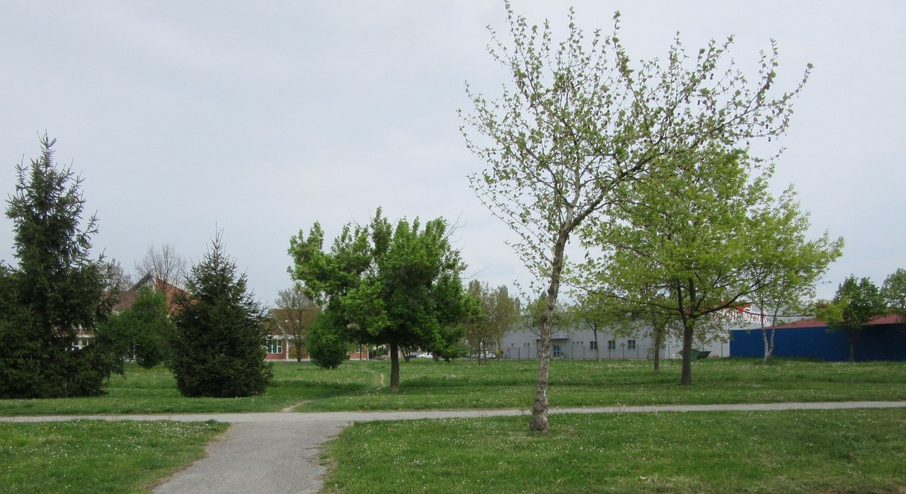 Kanovci