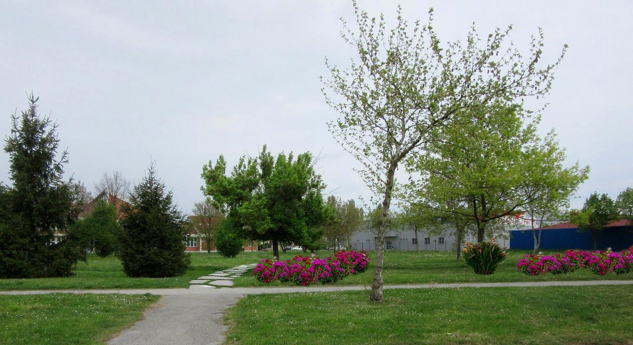 Kanovci